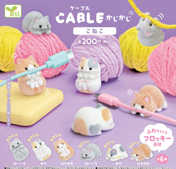 000000002905_3f6flCc