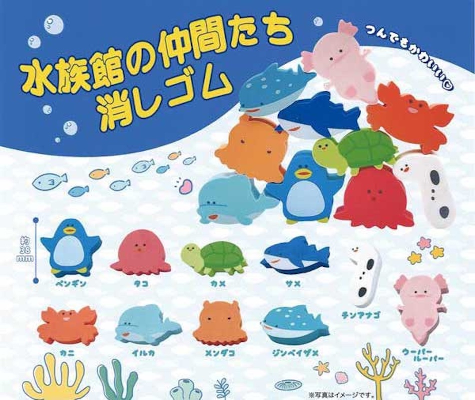 水族朋友橡皮