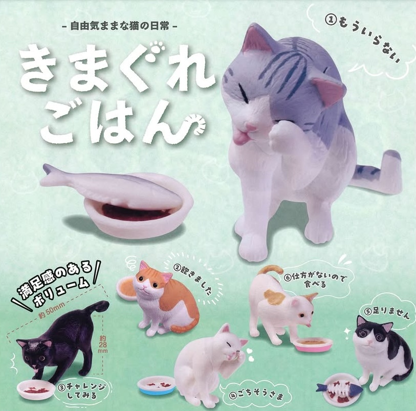 貓咪
