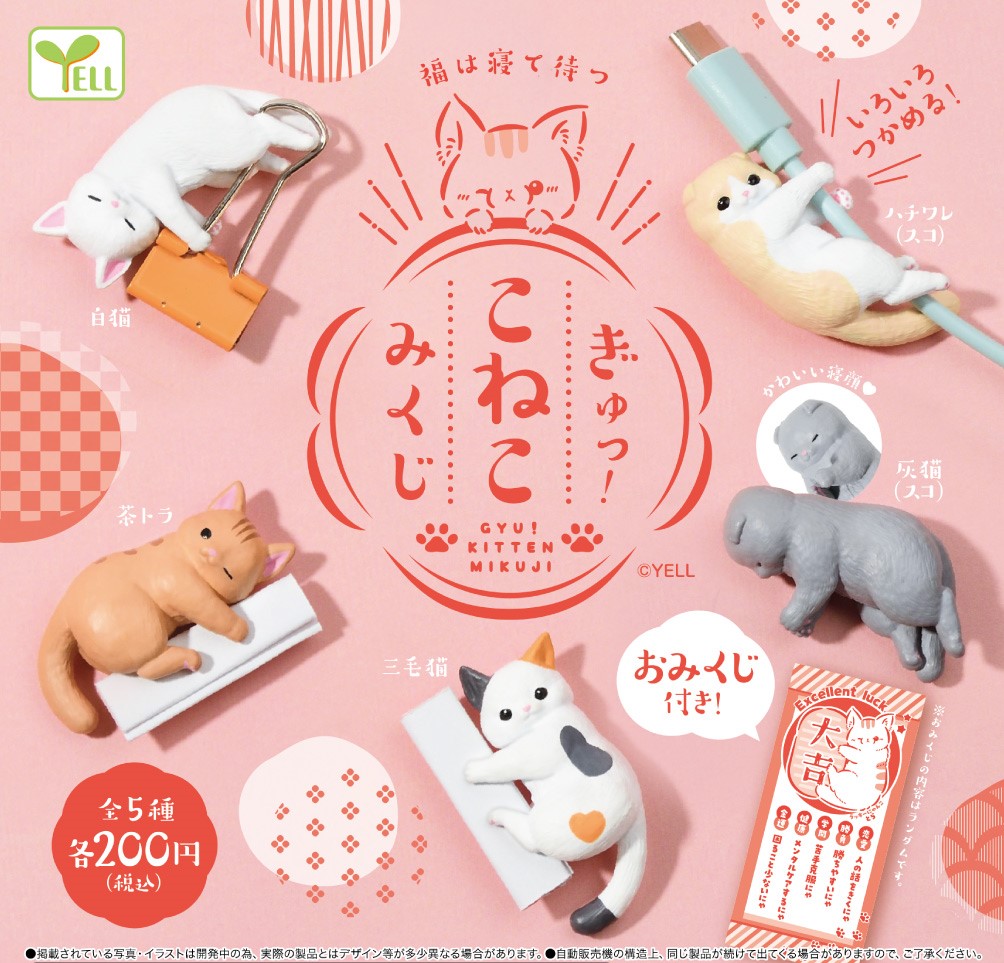 Yell 求籤抱抱貓貓