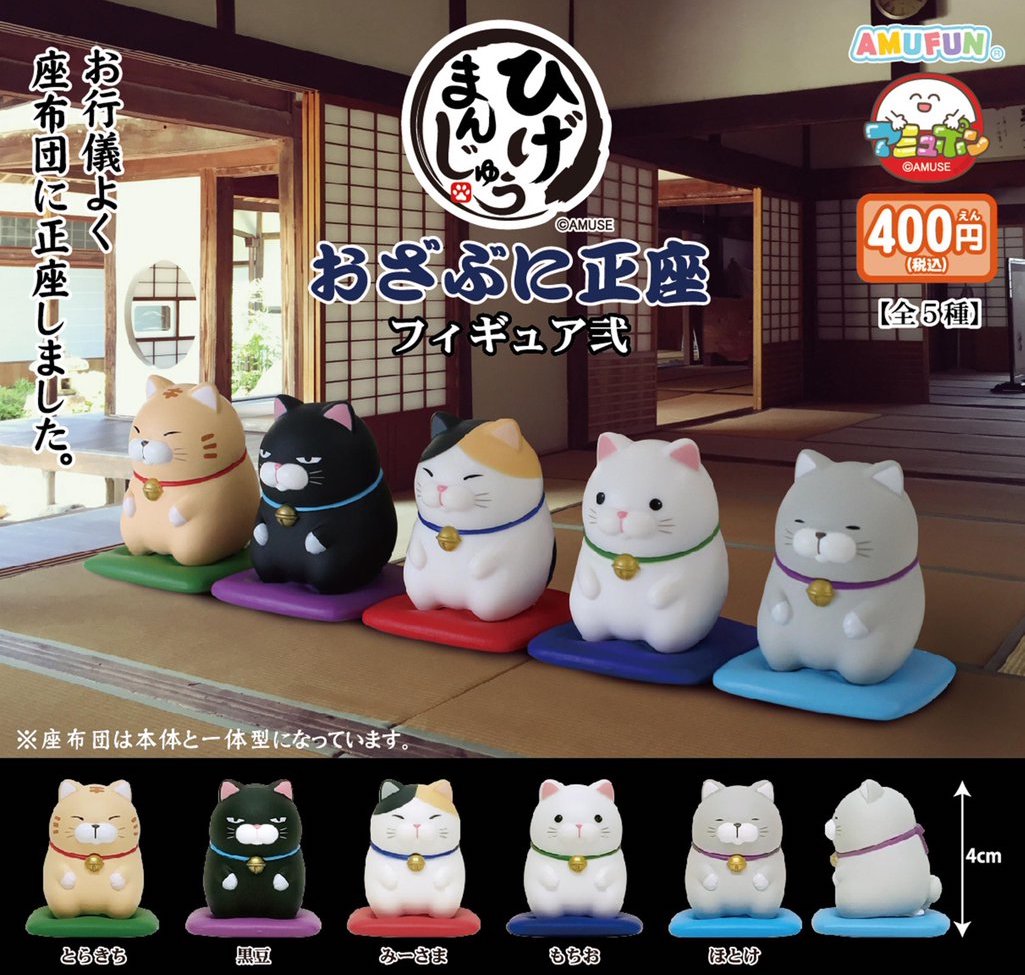 Amuse 正坐貓貓2