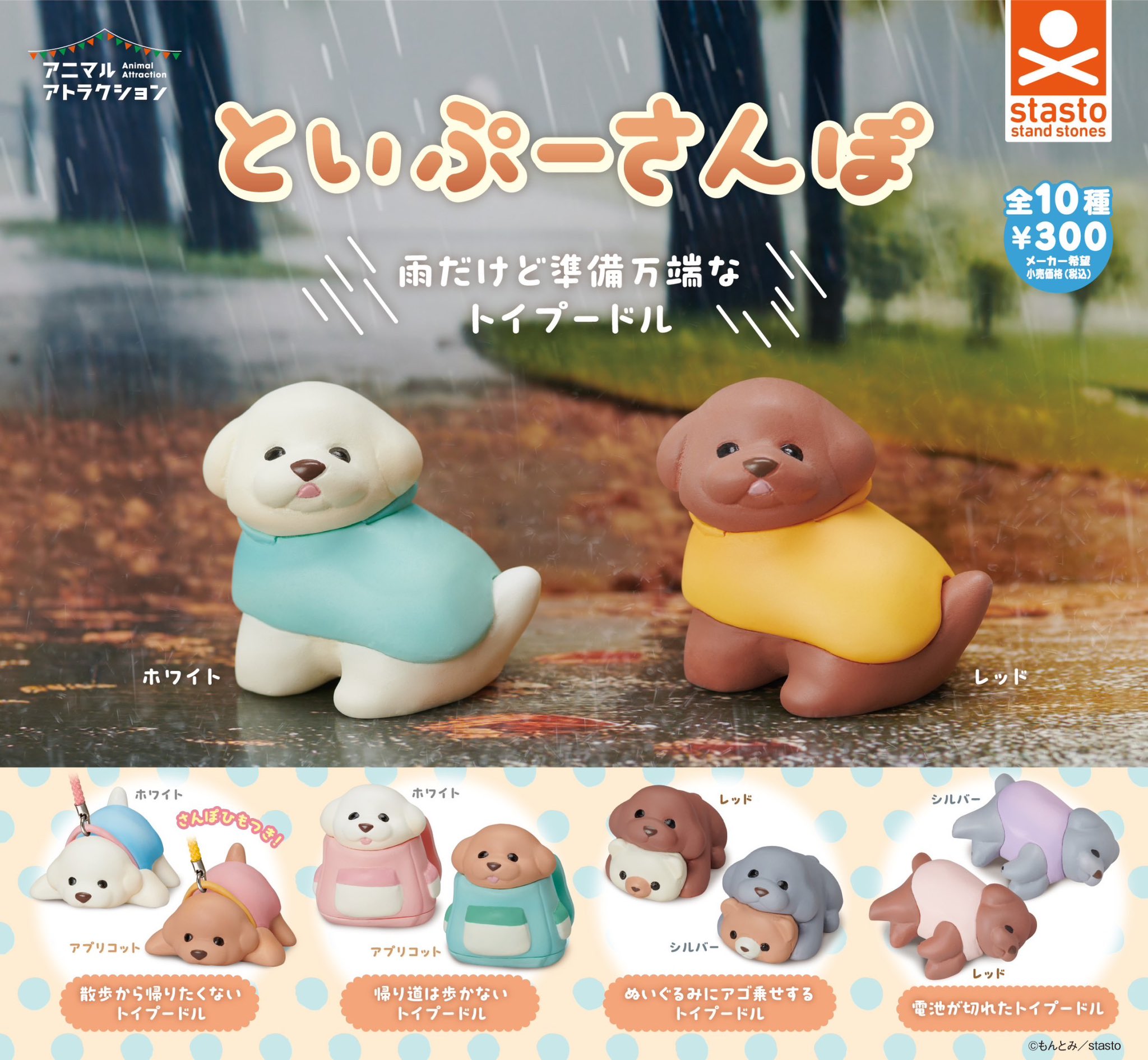 貴賓犬