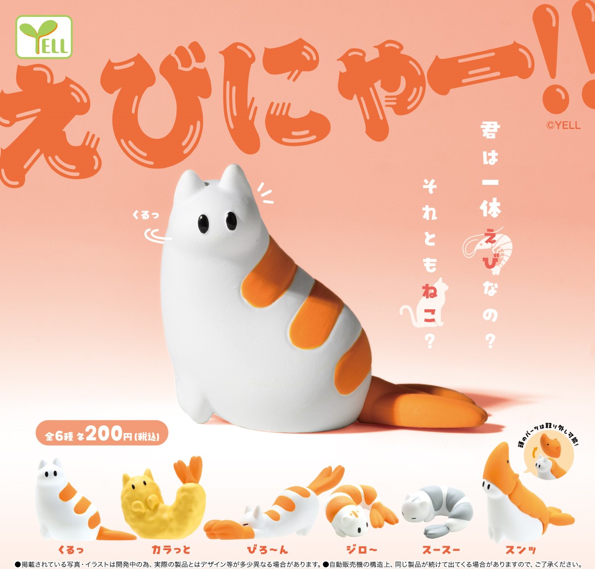 Yell 蝦蝦貓