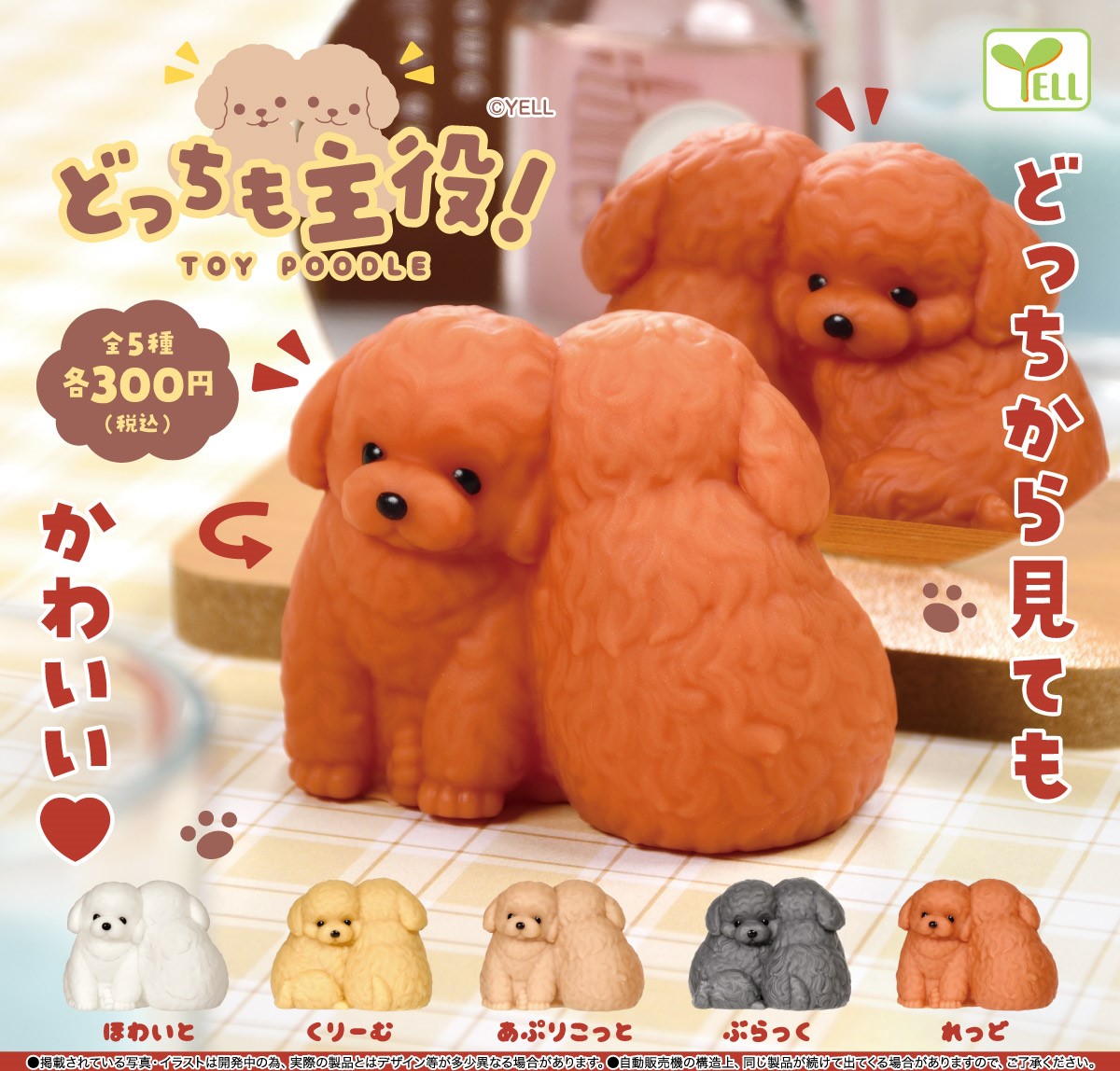Yell 2隻貴賓犬