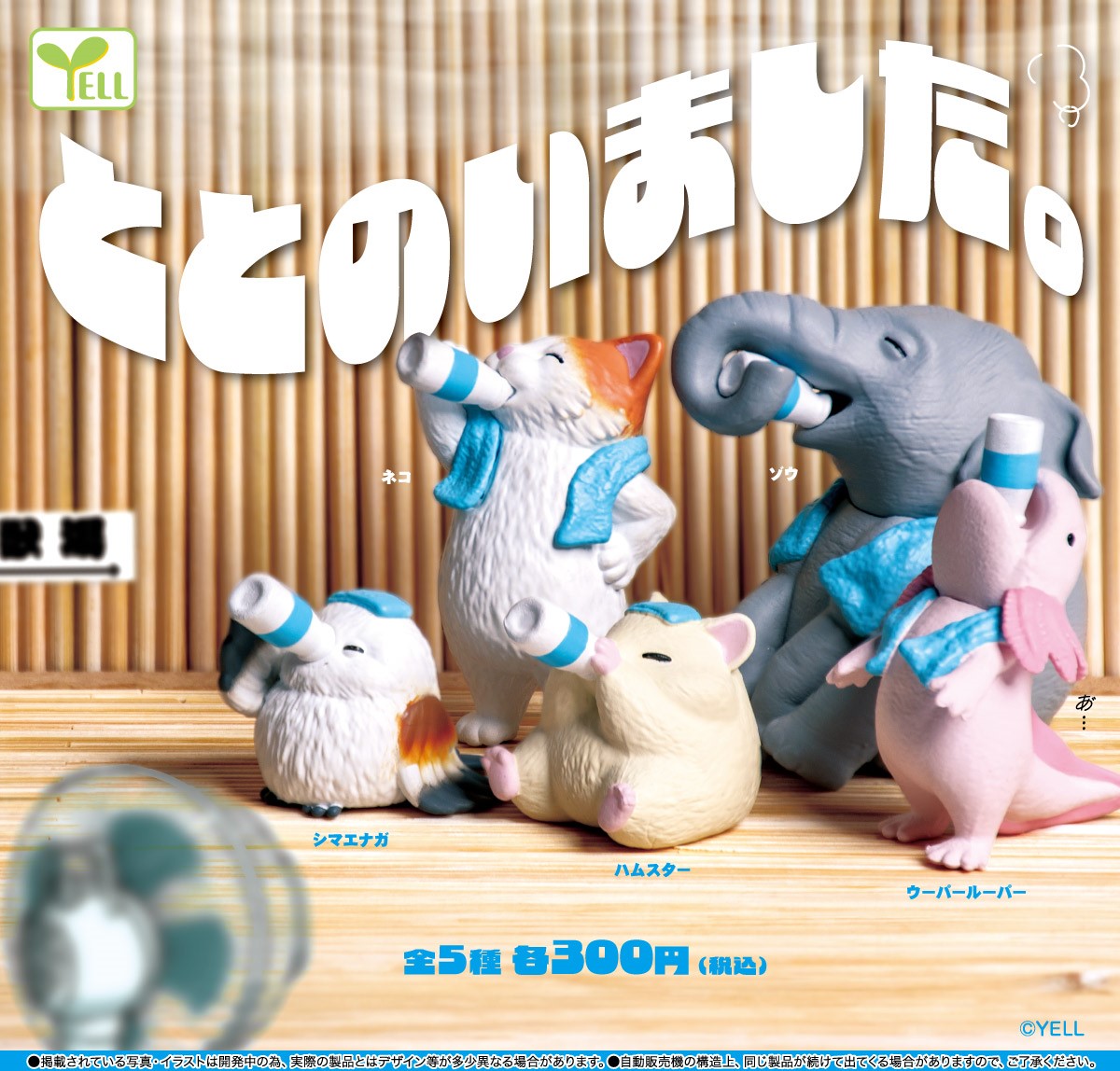 Yell 浴場小動物