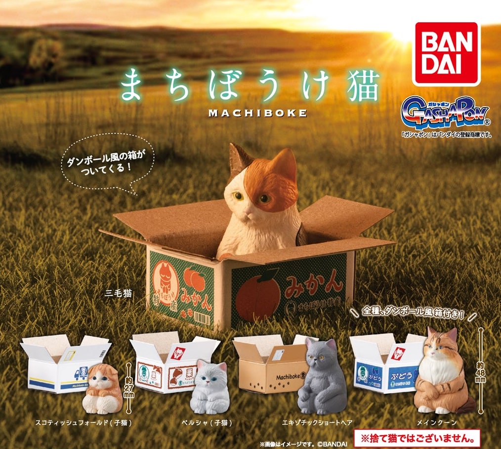 Bandai 等待紙箱貓貓（單售）