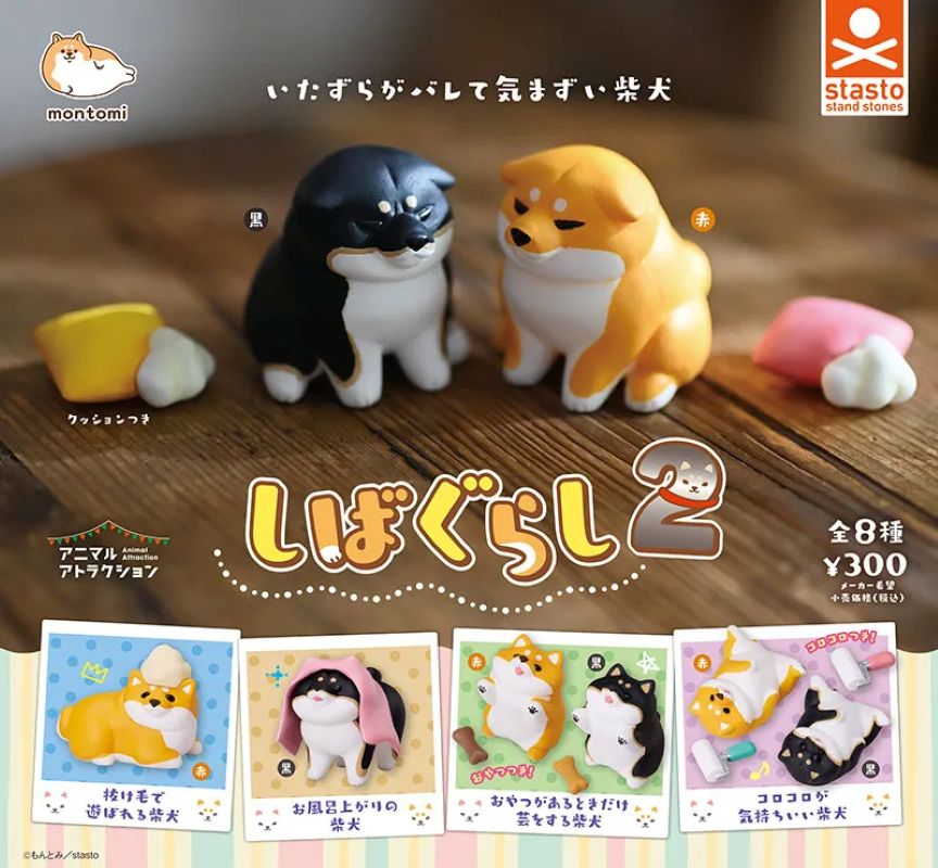Stasto 小動物日常．柴犬2