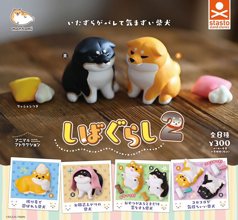 Stasto 小動物日常．柴犬2