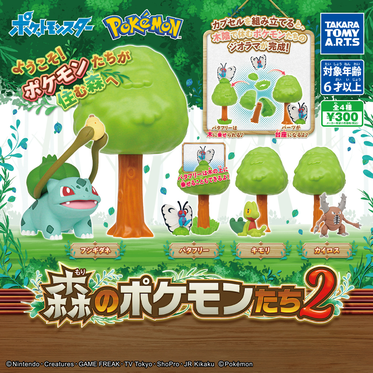 森林Pokemon 2（單售）