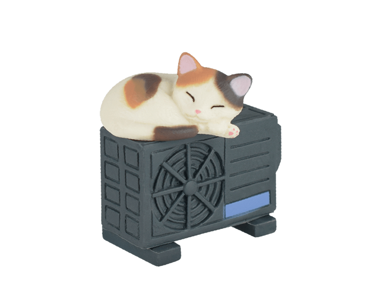 medium_70_danwotoruneko_003_2701f3f78c