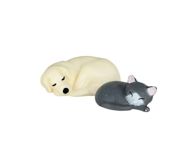 medium_70_danwotoruneko_004_7752c4e7e4