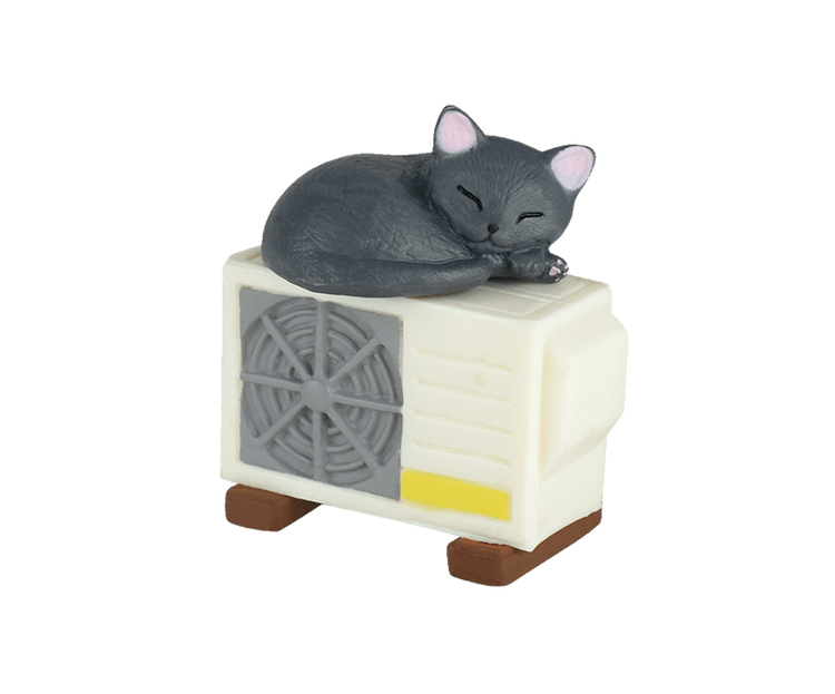 medium_70_danwotoruneko_006_76890750af