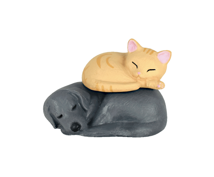 medium_70_danwotoruneko_007_148dbf3dda (1)