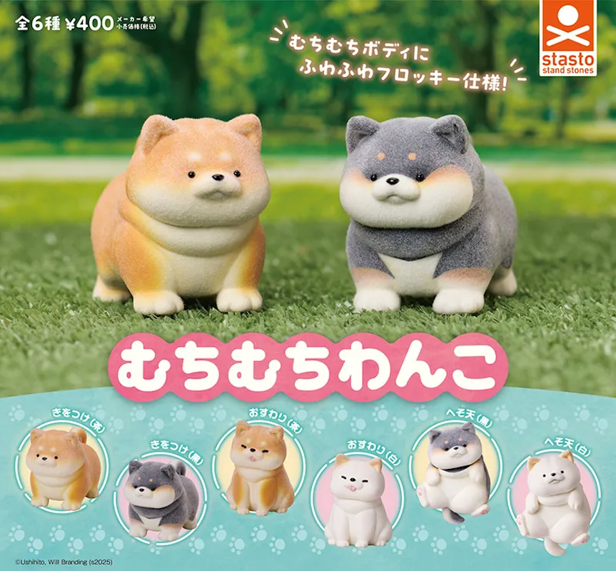 豆柴/秋田犬